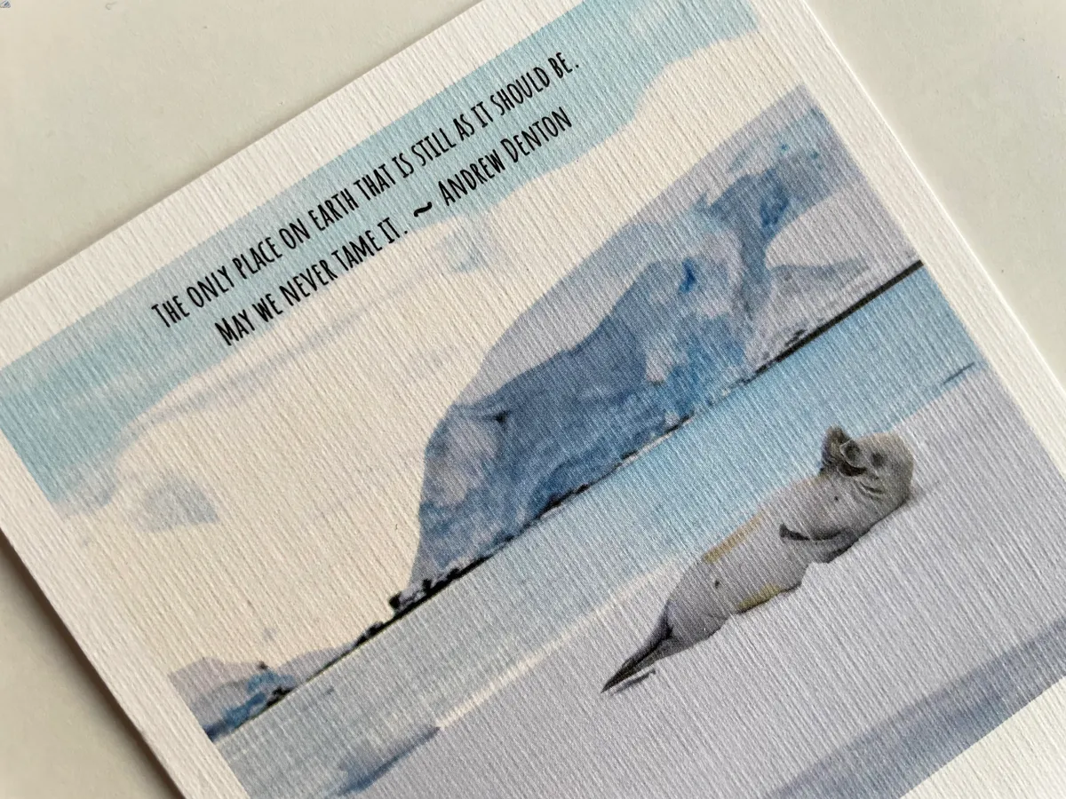 Antarctica: May We Never Tame It Polaroid - Image 2