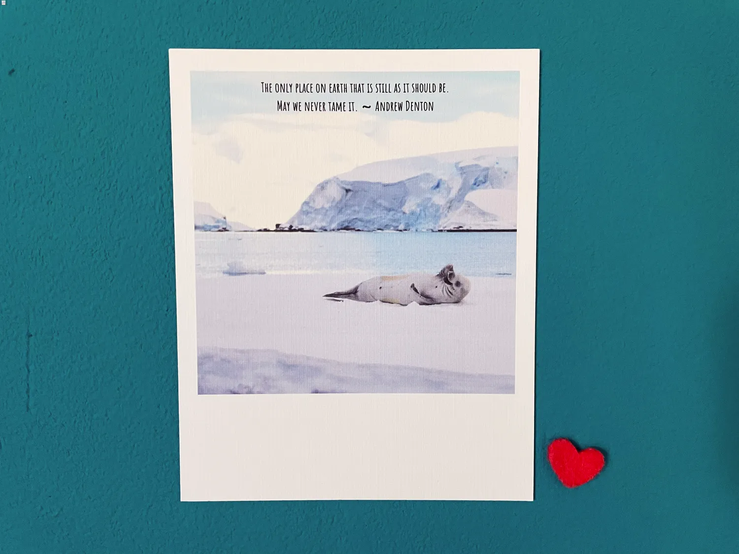 Antarctica: May We Never Tame It Polaroid